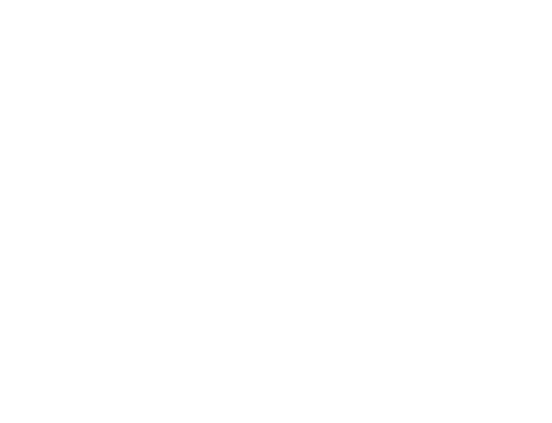 DSIPE